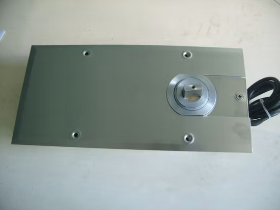 Ce/SGS/ISO del chiudiporta automatico della molla del pavimento del doppio cilindro 120kg